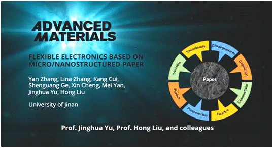 张彦-基于微纳米结构纸的柔性电子器件.jpg